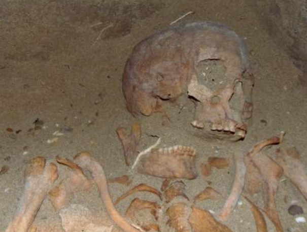 Restos encontrados en el sondeo realizado en el año 2015